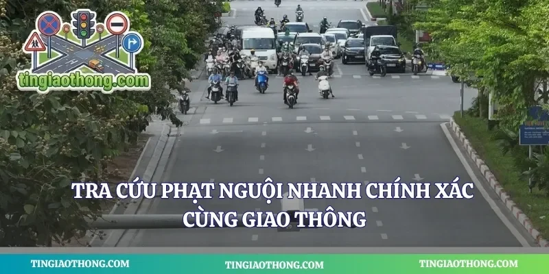 Tra Cứu Phạt Nguội